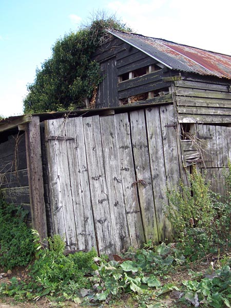 The Shed